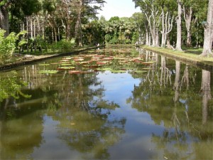 Mauritius Pamplemousse 300x225 Spunti di viaggio: reportage Mauritius, l’Isola della bellezza e dell’armonia…. 