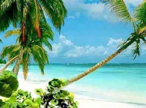 Mauritius flic-en-flac Mauritius flic en flac 300x222 Spunti di viaggio: reportage Mauritius, l’Isola della bellezza e dell’armonia….