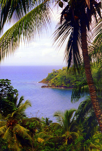Nuovi Parchi Marini nella Repubblica Dominicana per la tutela dell’ambiente