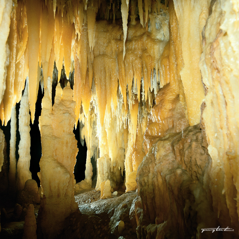 Le Grotte di Castellana e il paesaggio carsico delle Murge, meraviglie della natura
