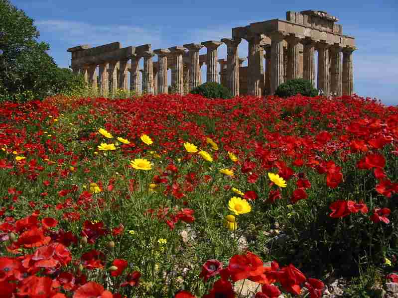 Professioni turismo più facili con lo Slocca Sicilia
