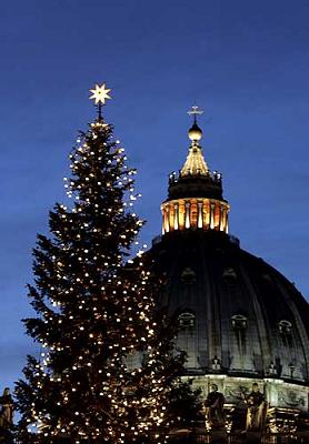 Arriva dalla Vallonia l’albero di Natale del Vaticano