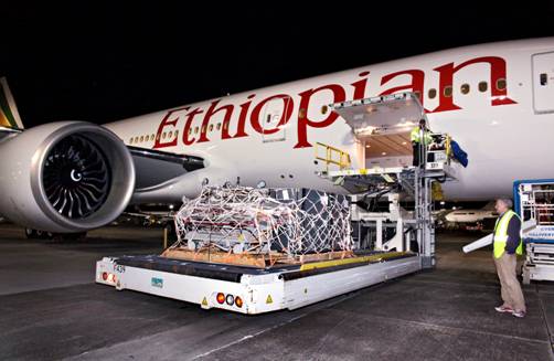 Boeing e Ethiopian Airlines partner con organizzazioni no-profit per consegnare medicinali