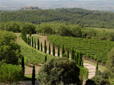 Nasce VIVILITALIA per la promozione del paesaggio italiano e del turismo locale