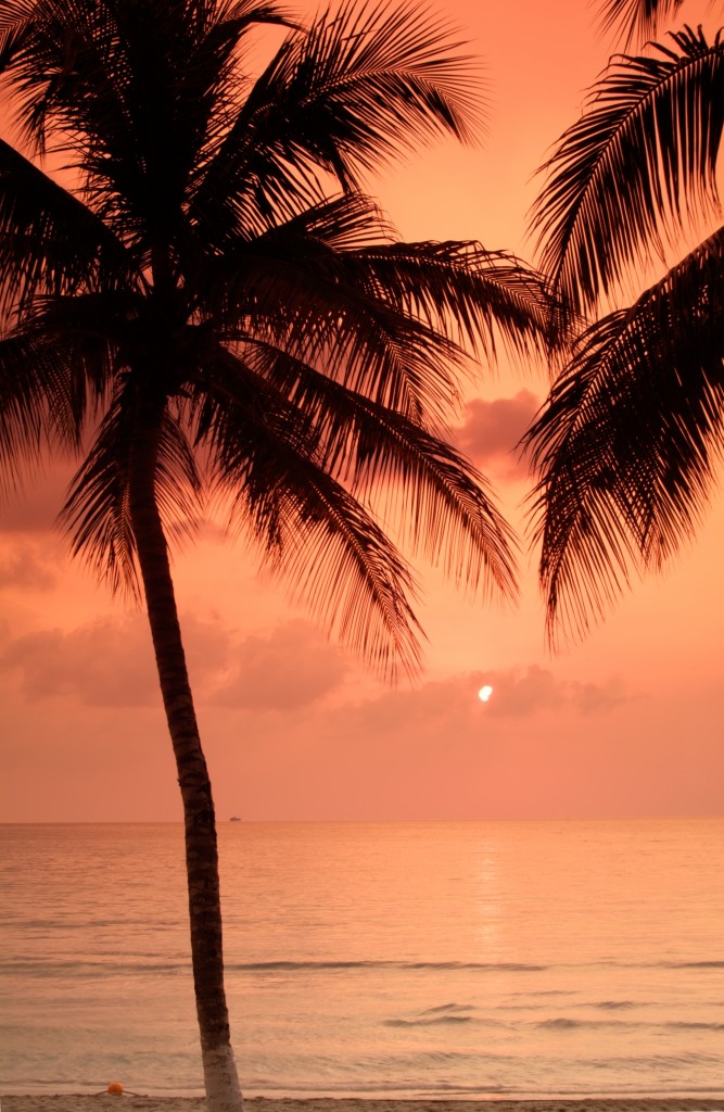 jamaica satp sunset at the beach