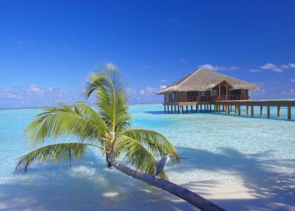 Il “Certificate of Excellence 2011” di TripAdvisor al Medhufushi Island Resort proposto da Kuda