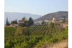 Cipro, a fine luglio il Commandaria Festival per celebrare un vino e una tradizione di oltre 4.000 anni