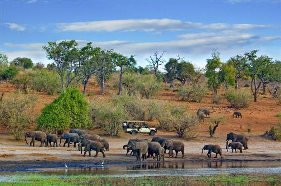 Tour e safari in Botswana con Eden Made
