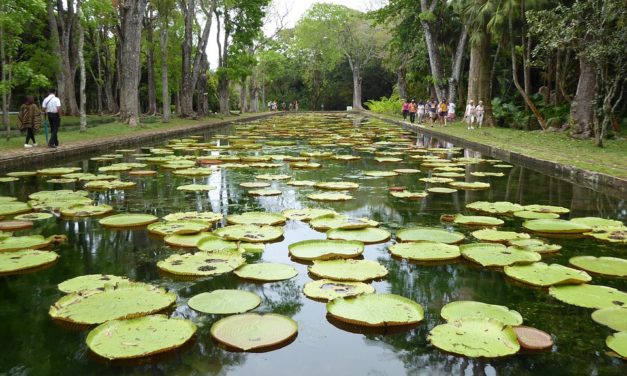 MAURITIUS VINCE QUATTRO PREMI ALL’EDIZIONE 2020 DEI WORLD TRAVEL AWARDS