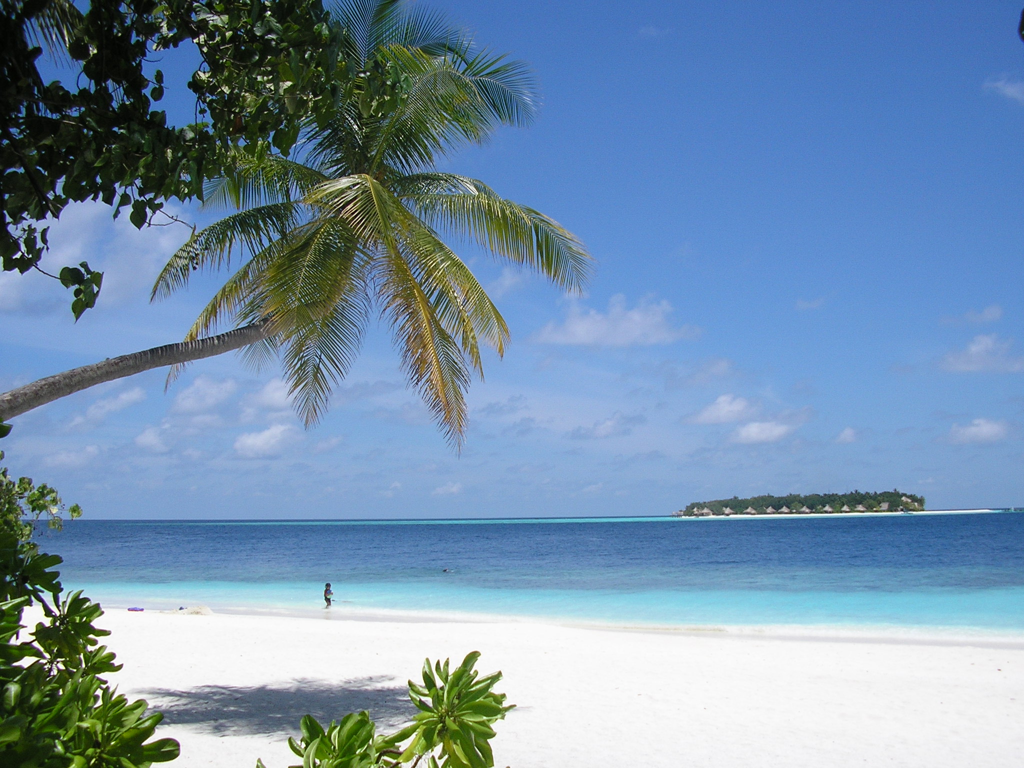 Reportage. Spunti di viaggio: Maldive, amore a prima vista