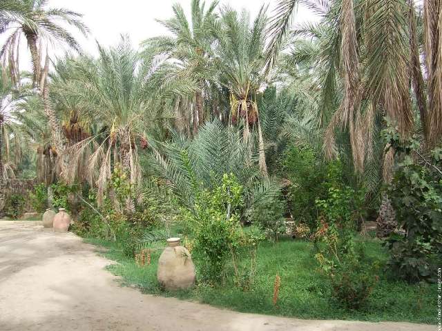Tozeur Desert Resort, nuovo progetto in Tunisia