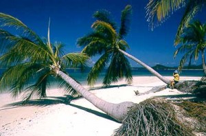 spiaggia con palme e uomo Phuket