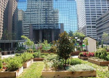 Philadelphia rappresenta gli USA alla Biennale di Venezia con il Pops Up Garden