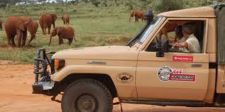 Il Kenya mira ai safari con Off Road Safari Academy: sessioni e fuori pista a contatto con la natura