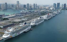 Miami terminal cruise