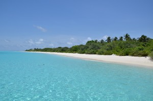 palm beach maldive