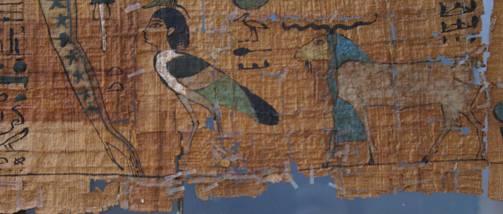 Egitto investe nella cultura. Al via salvaguardia papiri