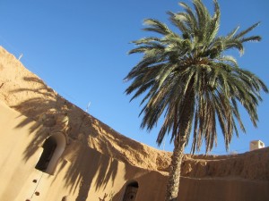 Tunisia oasi
