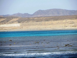 Il mare di Port Ghalib