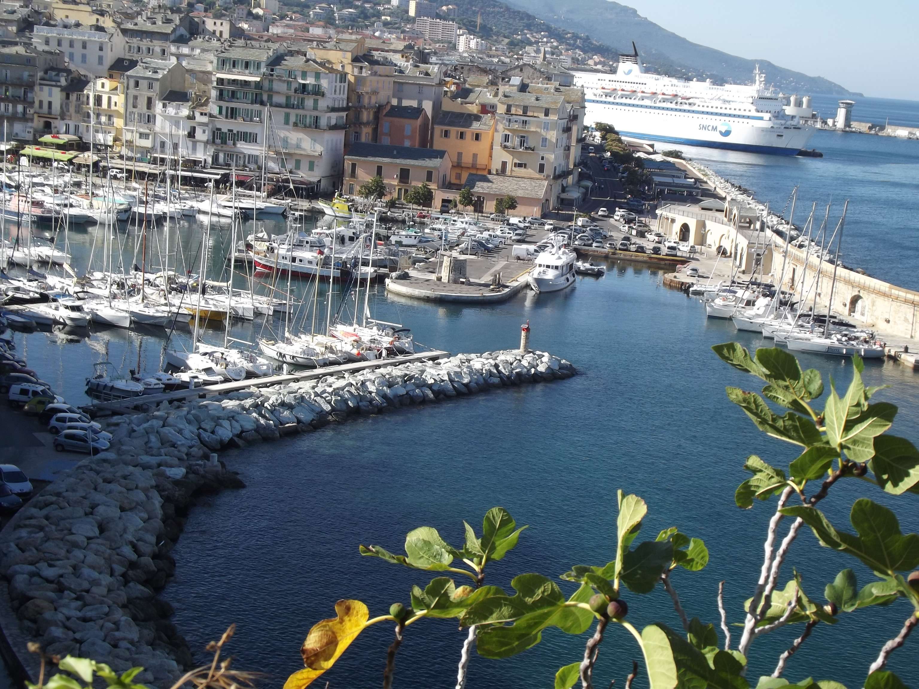 Bastia e Calvi, le armi vincenti della Corsica