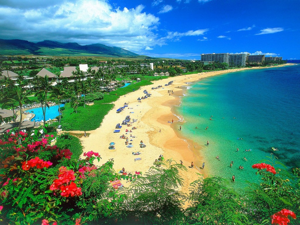 Hawaii-Pic