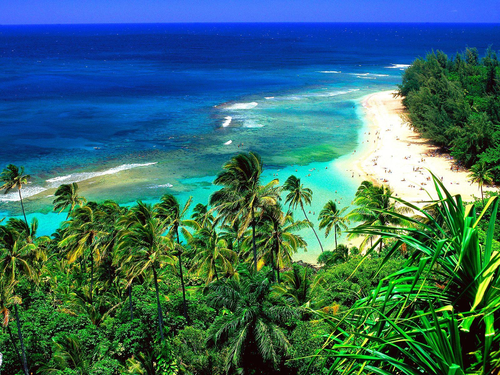Noivtà Usa di Eden Made con le Hawaii e Isole Cook