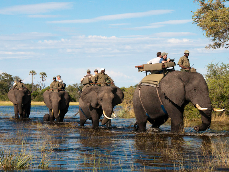 Okavango-Delta-Abu-Camp-Safari