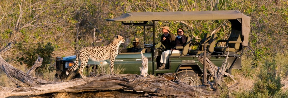 Zarafa-cheetah-botswana-safari