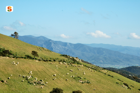 La Sardegna oltre il mare verso turismo rurale e bici