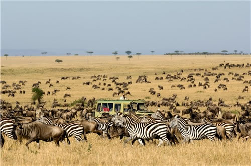 Serengeti-Safari-Migration