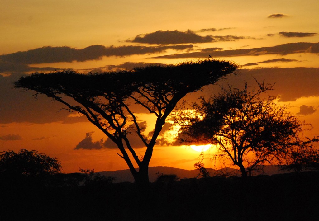 Sunset_in_Ngorongoro_Tanzania_Africa_23