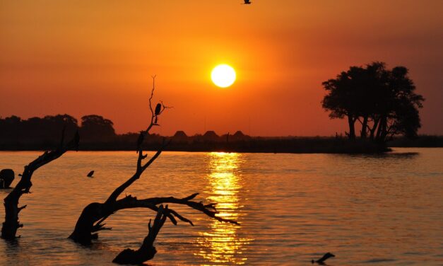 Botswana, un paradiso naturale nel cuore del mondo