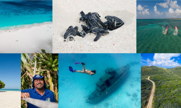 Isola di Aruba: non solo mare stupendo e spiagge bianchissime
