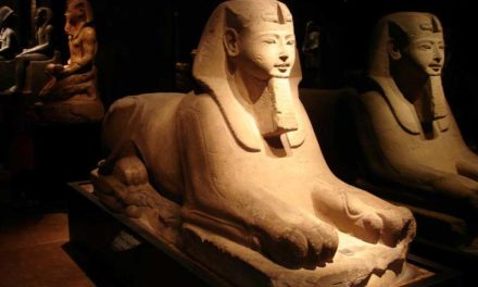 “A come Archeologia” al Museo Egizio di Torino