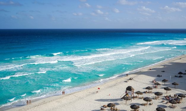 “Dichiarazione aggiornata del CPTM sul fenomeno dell’alga sargasso in Quintana Roo”