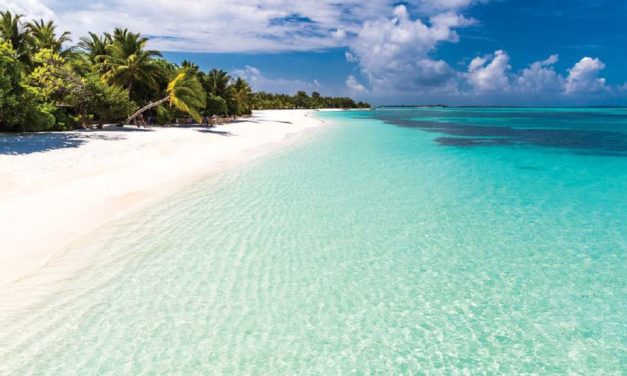 I VIAGGI DEL DELFINO: Ottimi risultati sulle Maldive