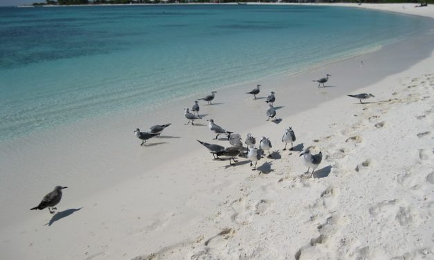 Il 4 GENNAIO 2013 LA TRAGEDIA DI LOS ROQUES. GLI INTERROGATIVI SENZA RISPOSTA