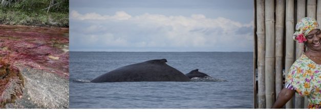 Vuela Tour Operator fa conoscere la vera Colombia