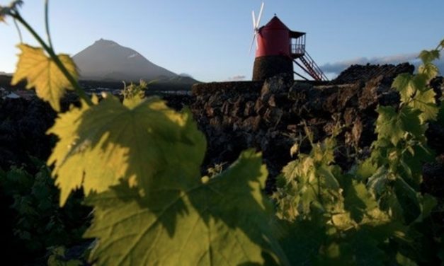 PORTOGALLO WINE DESTINATION