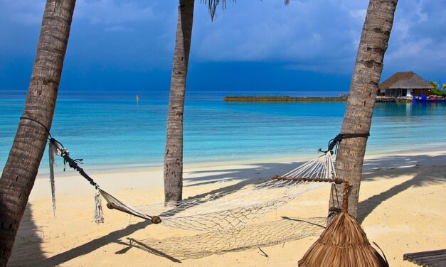 LE MALDIVE CON TRIPADVISOR