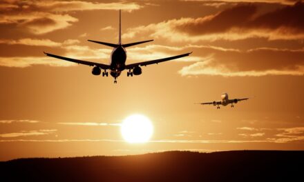 Un’estate di voli cancellati: Restrizioni dei governi o motivi economici?