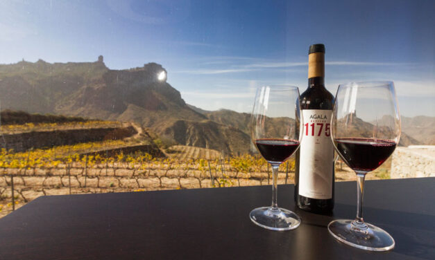 Vini delle Isole Canarie: dalla Malvasia Vulcanica al Forastera Gomera
