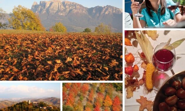 Fra poco è tempo di foliage. La natura si tinge di tanti colori