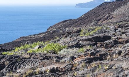 Trekking tra i “giganti della terra”:  le escursioni per scoprire i vulcani delle Isole Canarie