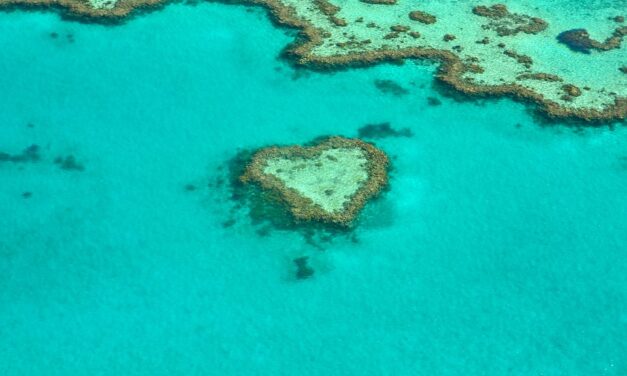 Australia raggiunge oltre 5 milioni di follower su Instagram