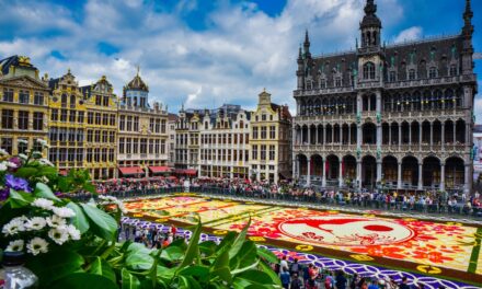 Torna alla Grand Place di Bruxelles il Tapis de Fleurs, tappeto di fiori lungo 77 metri e largo 24.