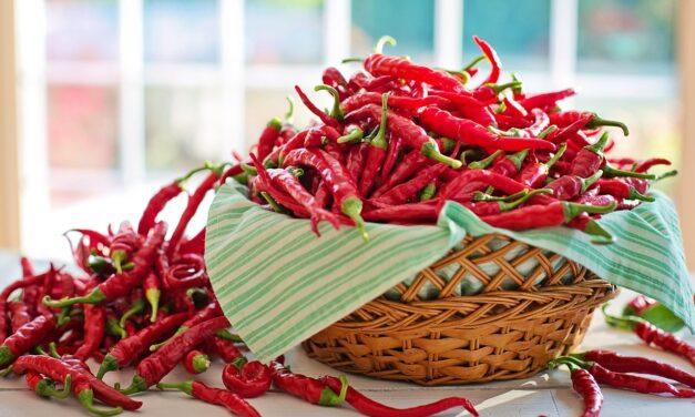 Peperoncino in festa a Fiumicino. E c’è anche il contest “mangiatori di pasta al peperoncino”