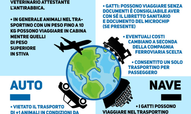 VIAGGIARE SICURI CON CANI E GATTI NEL RISPETTO DELLA LEGGE, L’OPUSCOLO OIPA DA SCARICARE