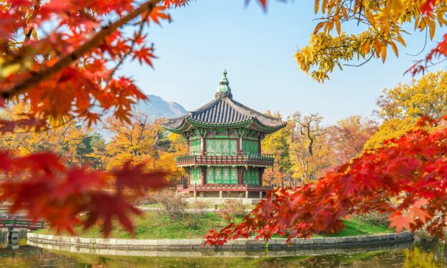 Azonzo Travel nel 2024 propone viaggi in Corea del Sud