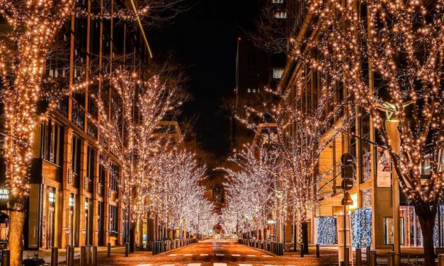 A Tokyo I’inverno è un tripudio di luci